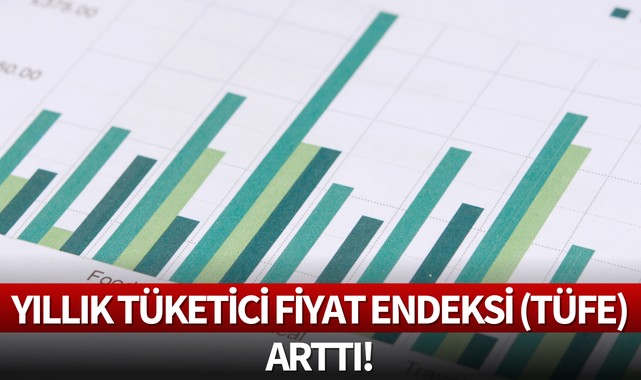 Yıllık Tüketici fiyat endeksi (TÜFE) arttı!