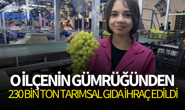 O ilçenin gümrüğünden 230 bin ton tarımsal gıda ihraç edildi