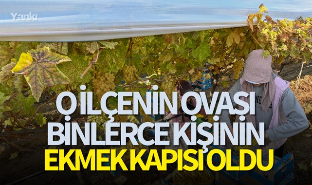 O ilçenin ovası binlerce kişinin ekmek kapısı oldu