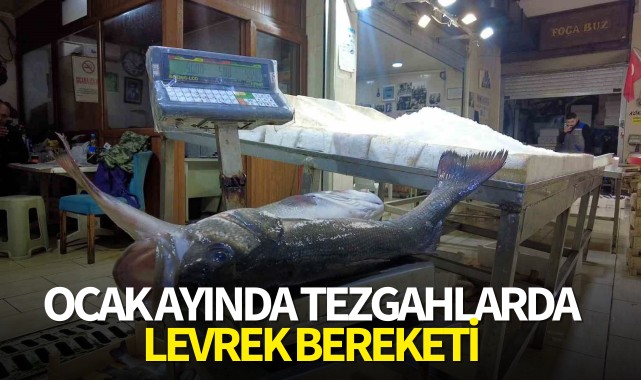 Ocak ayında tezgahlarda levrek bereketi