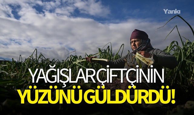 Yağışlar çiftçinin yüzünü güldürdü!
