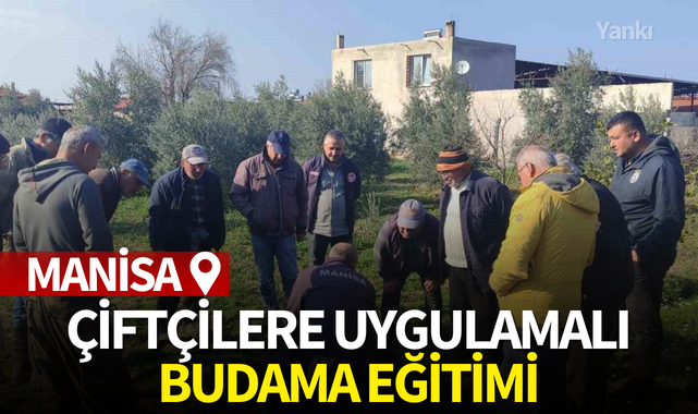 Salihli'de çiftçilere uygulamalı budama eğitimi