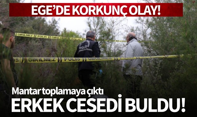 Ege'de korkunç olay! Mantar toplamaya çıktı, erkek cesedi buldu!