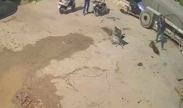 Köpeğe saldırana ev hapsi, izleyene barınakta çalışma cezası verildi