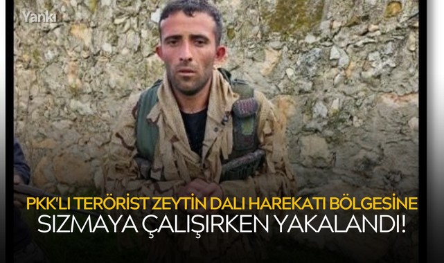 PKK'lı terörist Zeytin Dalı Harekatı bölgesine sızmaya çalışırken yakalandı!