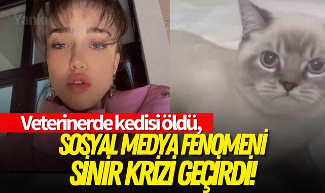 Sosyal medya fenomeninin veterinerde kedisi öldü, sinir krizi geçirdi!