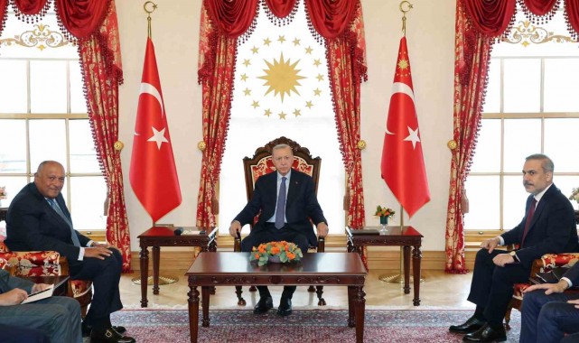 Cumhurbaşkanı Erdoğan, Mısır Dışişleri Bakanı Şukri'yi kabul etti