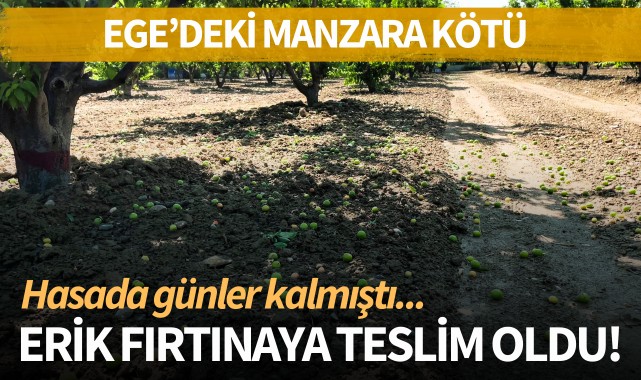 Ege'de görüntüler kötü: Erik fırtınaya teslim oldu!