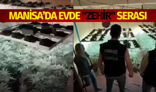 Manisa'da evde "Zehir" serası