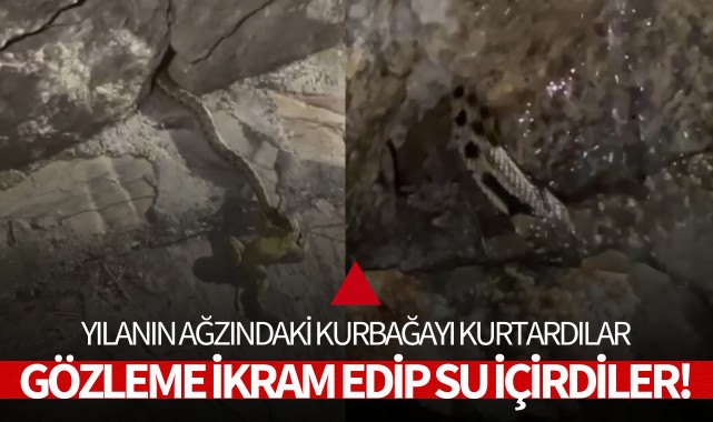Ağzındaki kurbağayı kurtardılar, gözleme ikram edip su içirdiler!
