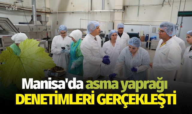 Manisa'da asma yaprağı denetimleri gerçekleşti