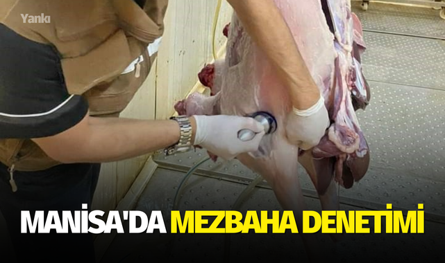 Manisa'da mezbahada denetim