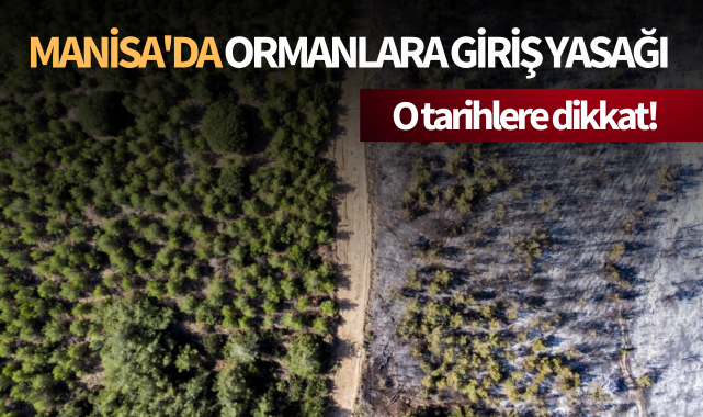 Manisa'da ormanlara giriş yasağı başladı