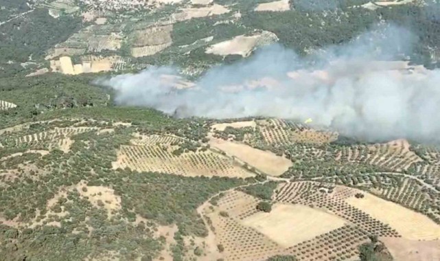 Bergama'daki orman yangınında bir mahalle tahliye edildi