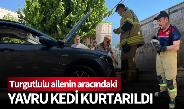 Turgutlulu ailenin aracındaki yavru kedi kurtarıldı
