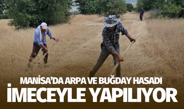 Arpa ve buğday hasadı imeceyle yapılıyor