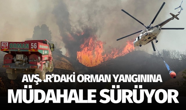 Avşar'daki orman yangınına müdahale sürüyor