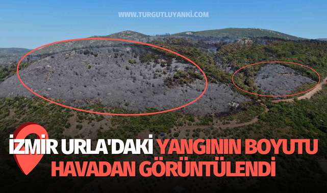 İzmir Urla'daki yangının boyutu havadan görüntülendi