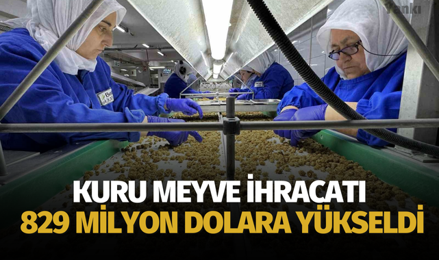 Kuru meyve ihracatı 829 milyon dolara yükseldi