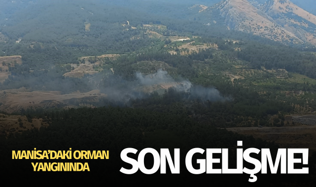 Manisa'daki orman yangınında son gelişme!