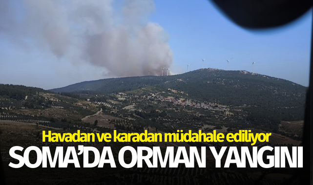 Soma'da orman yangını!
