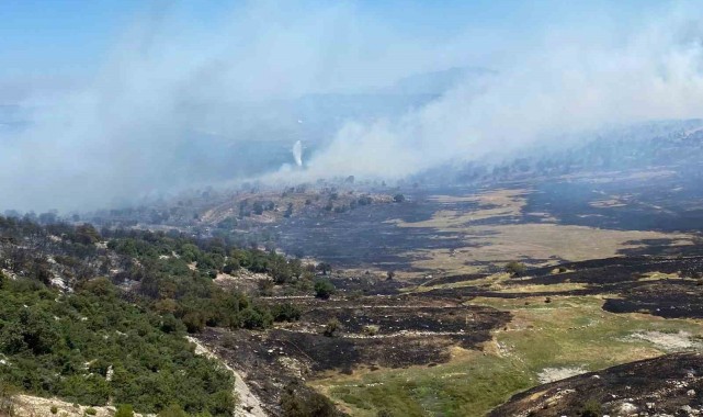 Soma'daki orman yangınında bir mahalle tahliye edildi