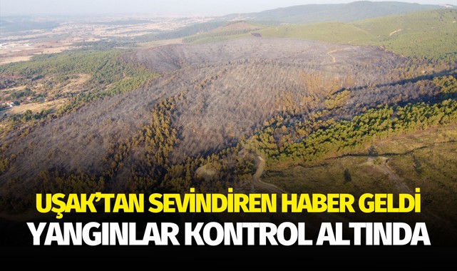 Uşak'taki orman yangınları kontrol altına alındı