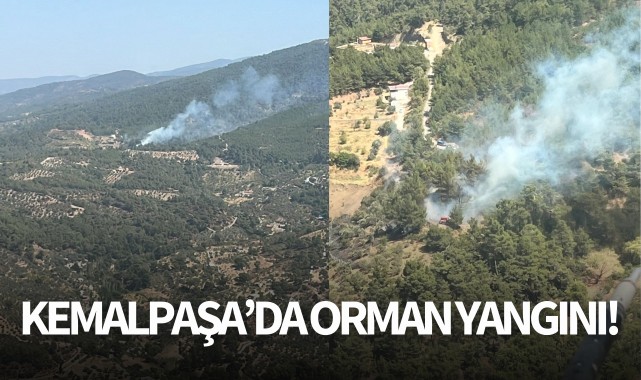 Kemalpaşa'da orman yangını!