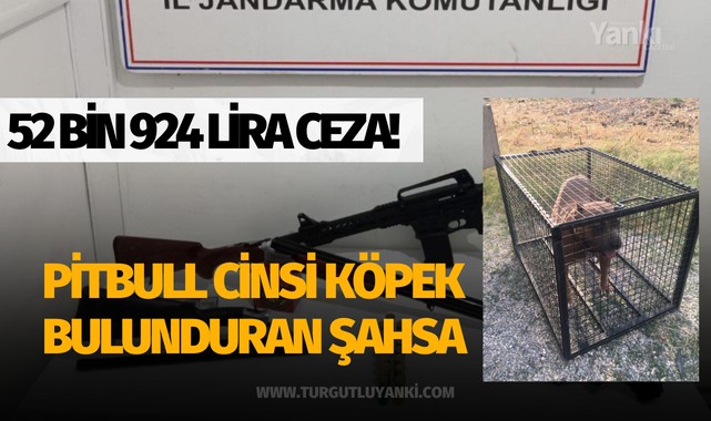 Pitbull cinsi köpek bulunduran şahsa 52 bin 924 lira ceza!