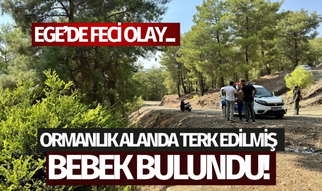Ege'de bebeğin ormana terk edilmesine ilişkin 2 şüpheliye gözaltı
