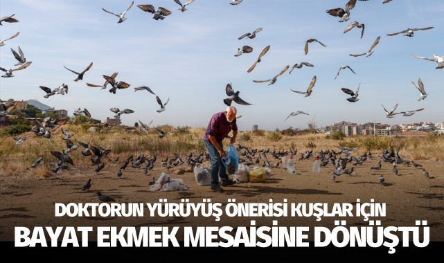Doktorun yürüyüş önerisi kuşlar için bayat ekmek toplama mesaisine dönüştü