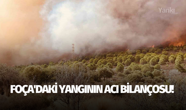 Foça'daki yangının acı bilançosu!