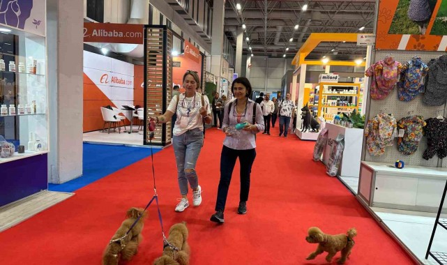 Pet sektörü ithalatını azaltmayı hedefliyor