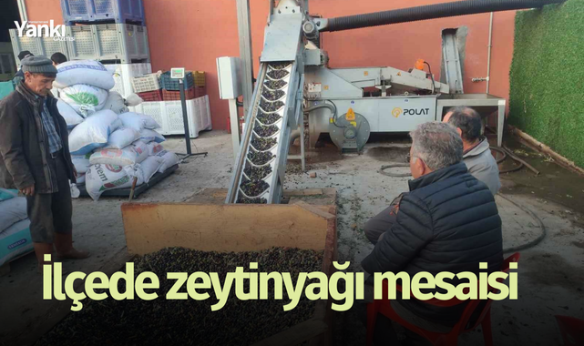 İlçede zeytinyağı mesaisi