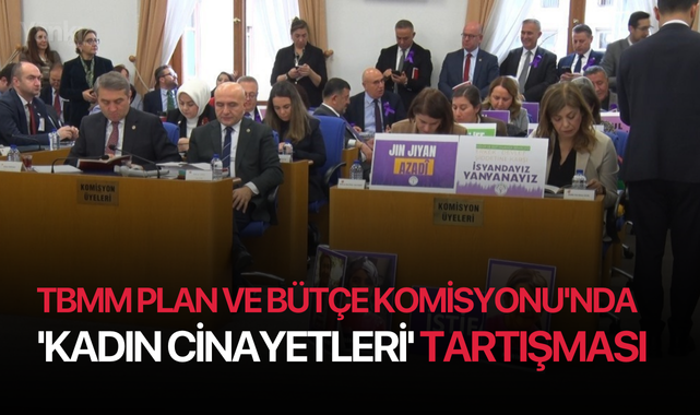 TBMM Plan ve Bütçe Komisyonu'nda 'kadın cinayetleri' tartışması