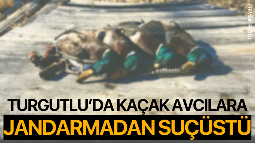 Turgutlu’da Kaçak Avcılara Jandarmadan Suçüstü
