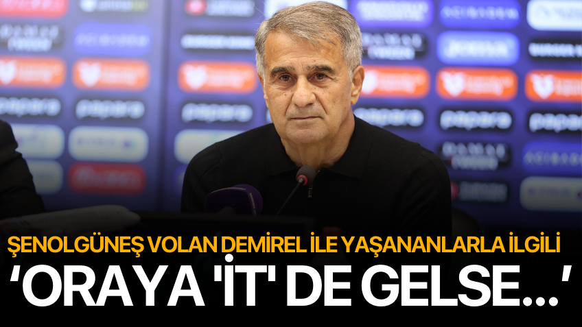 Şenol Güneş: "Oraya it de gelse hoş geldin demek zorundayım"