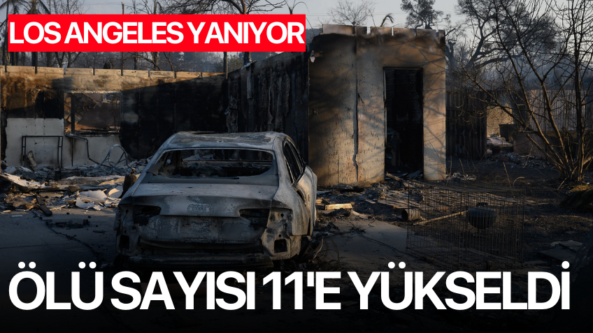 ABD'de orman yangınlarında ölü sayısı 11’e yükseldi