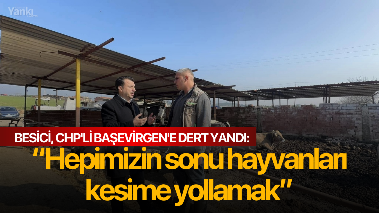Besici, CHP'li Başevirgen'e dert yandı: “Hepimizin sonu hayvanları kesime yollamak”