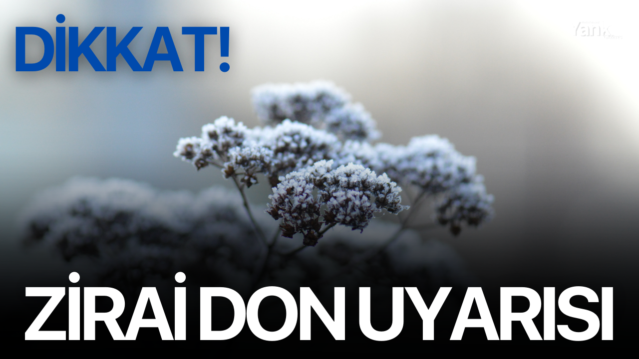 Dikkat! Zirai Don Uyarısı