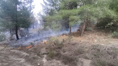 Saruhanlı'da orman yangını