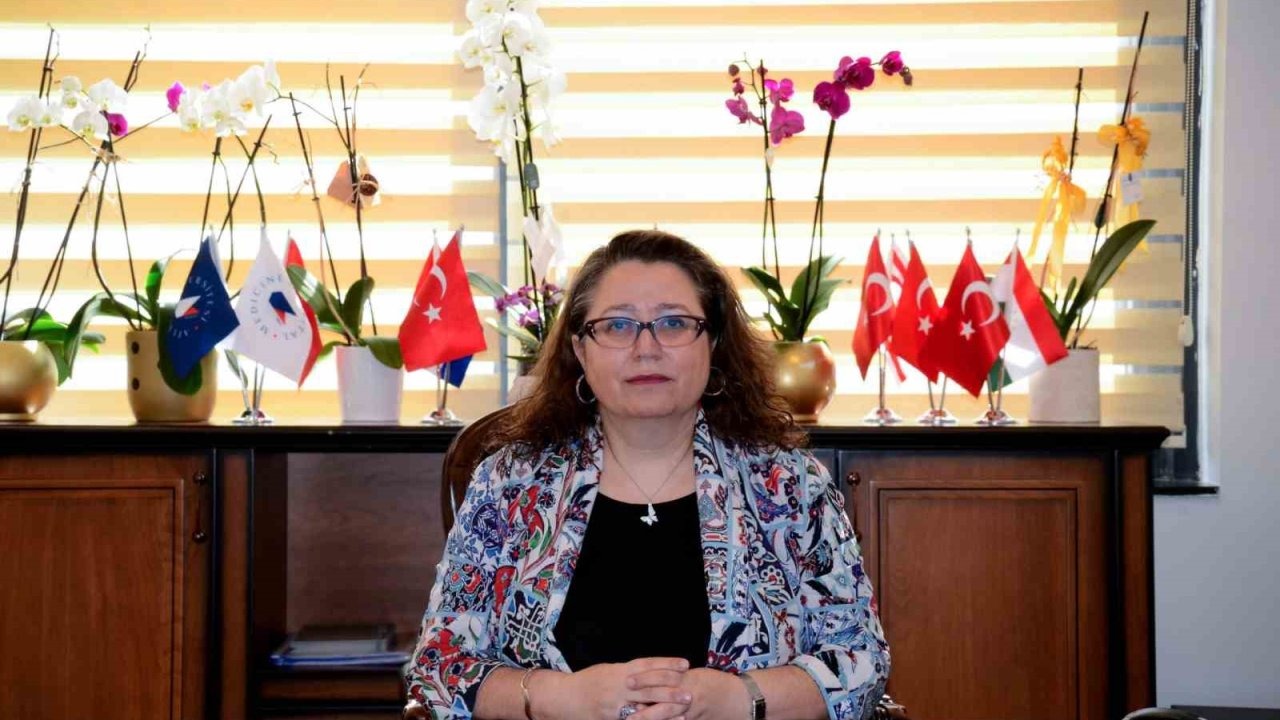 "Bipolar bozuklukta kişi, tedavi ile iş ve sosyal hayatını sürdürebilir"