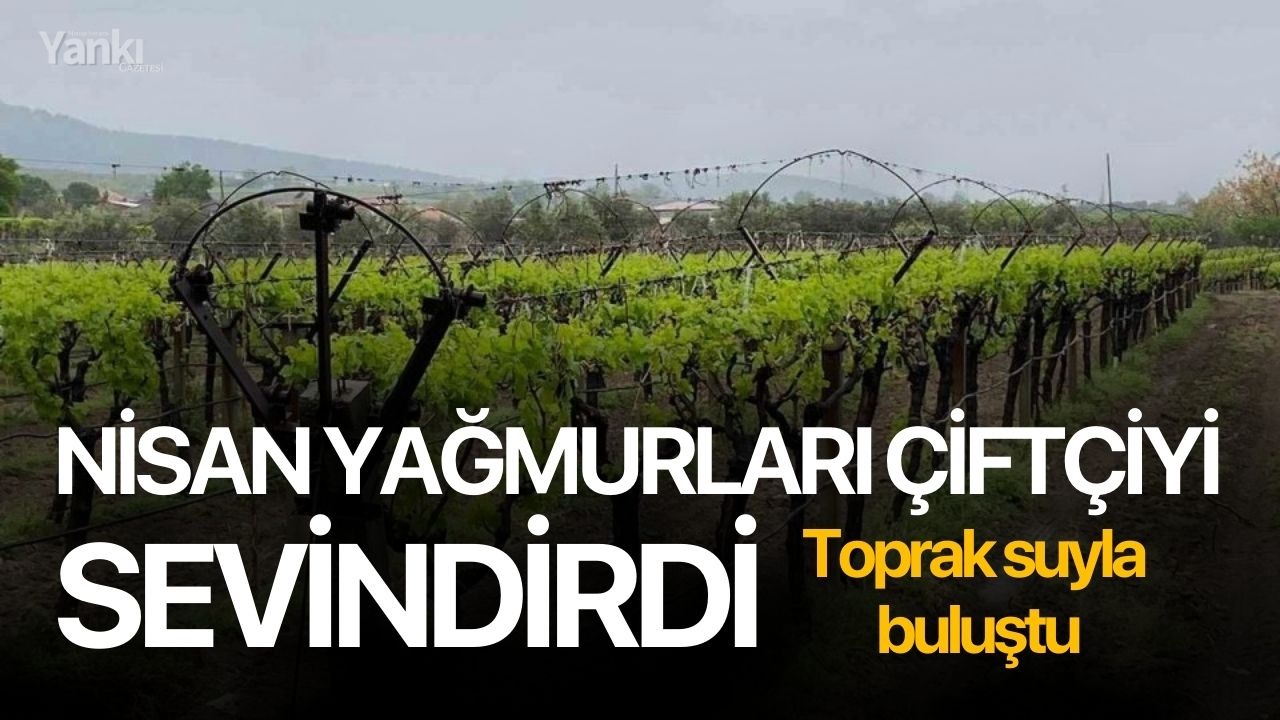 Nisan yağmurları çiftçiyi sevindirdi