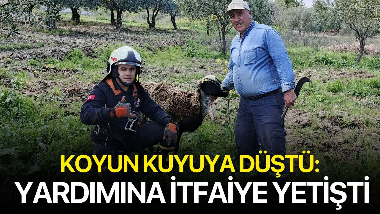 Koyun Kuyuya Düştü: Yardımına İtfaiye Yetişti