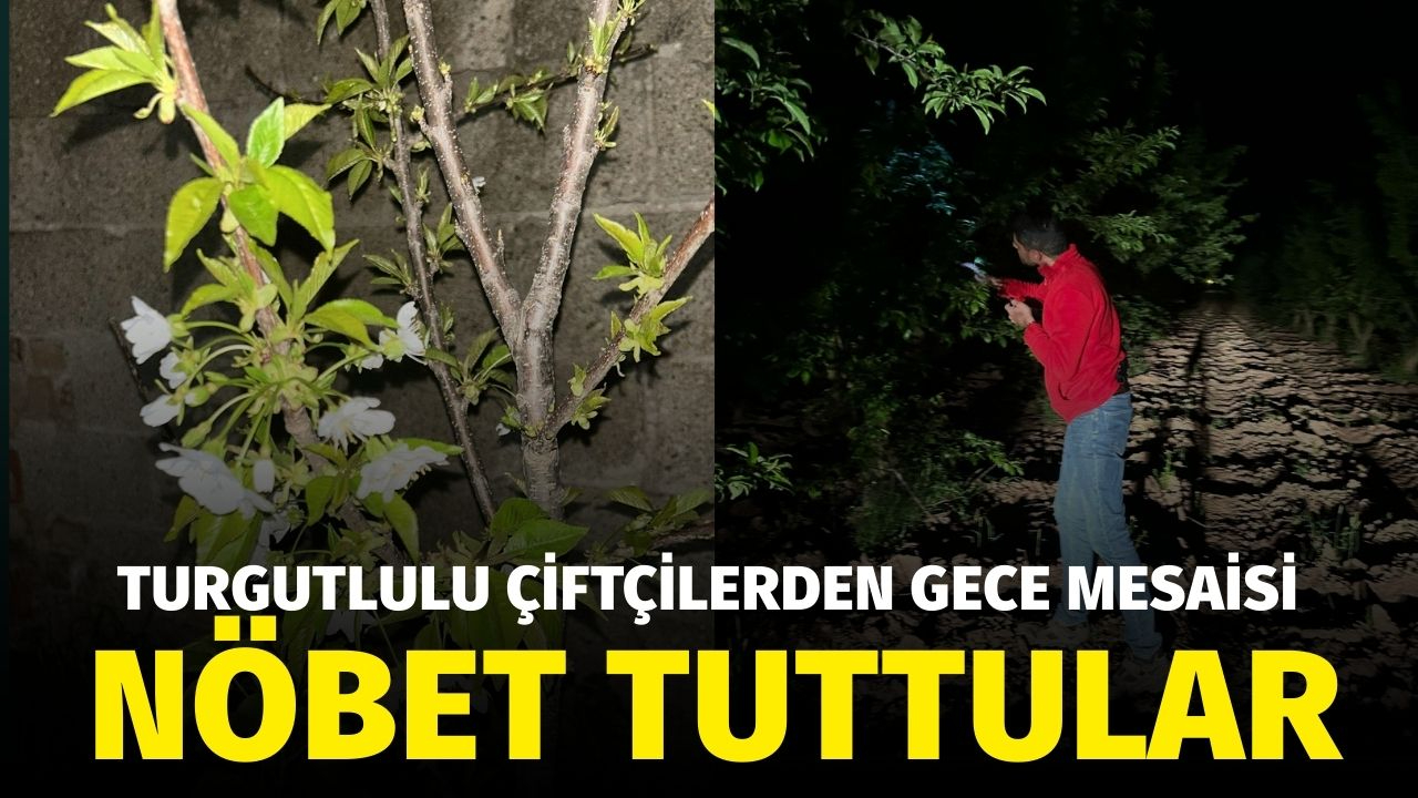Turgutlulu çiftçilerden gece mesaisi
