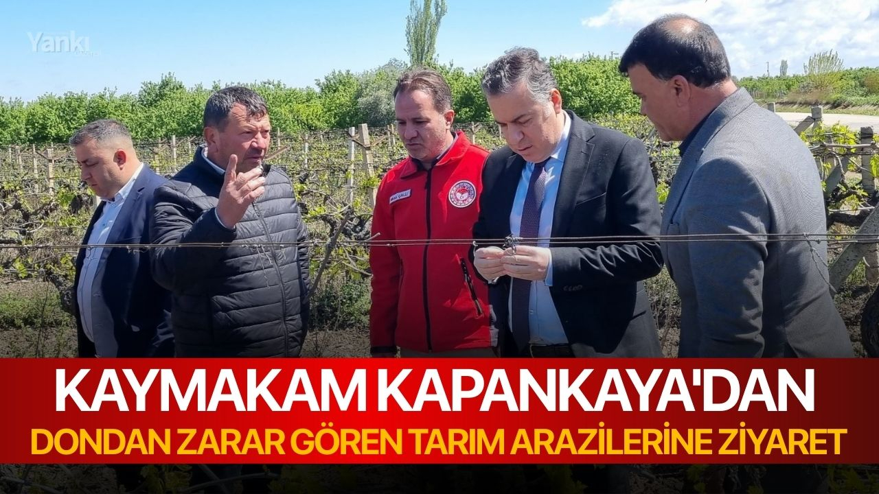 Kaymakam Kapankaya'dan dondan zarar gören tarım arazilerine ziyaret