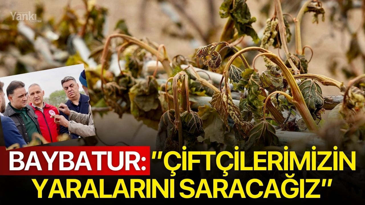 BAYBATUR:”ÇİFTÇİLERİMİZİN YARALARINI SARACAĞIZ”