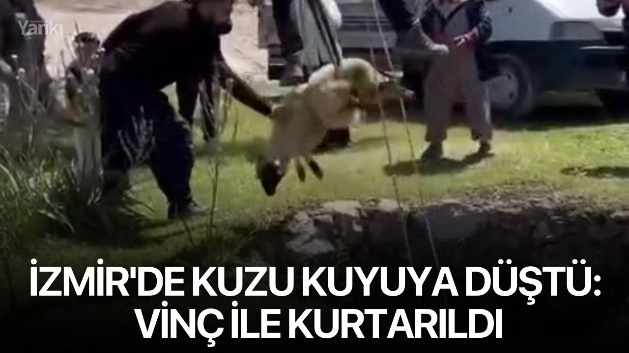 İzmir'de Kuzu Kuyuya Düştü: Vinç İle Kurtarıldı