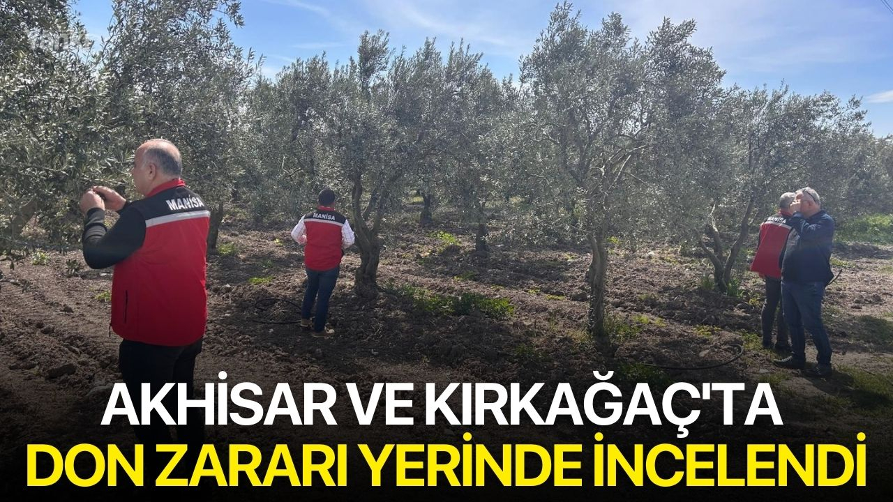 Akhisar ve Kırkağaç'ta Don Zararı Yerinde İncelendi