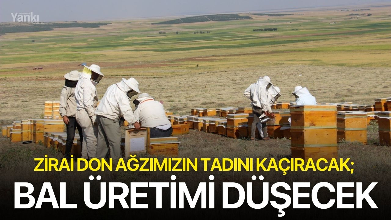 Zirai don ağzımızın tadını kaçıracak; bal üretimi düşecek